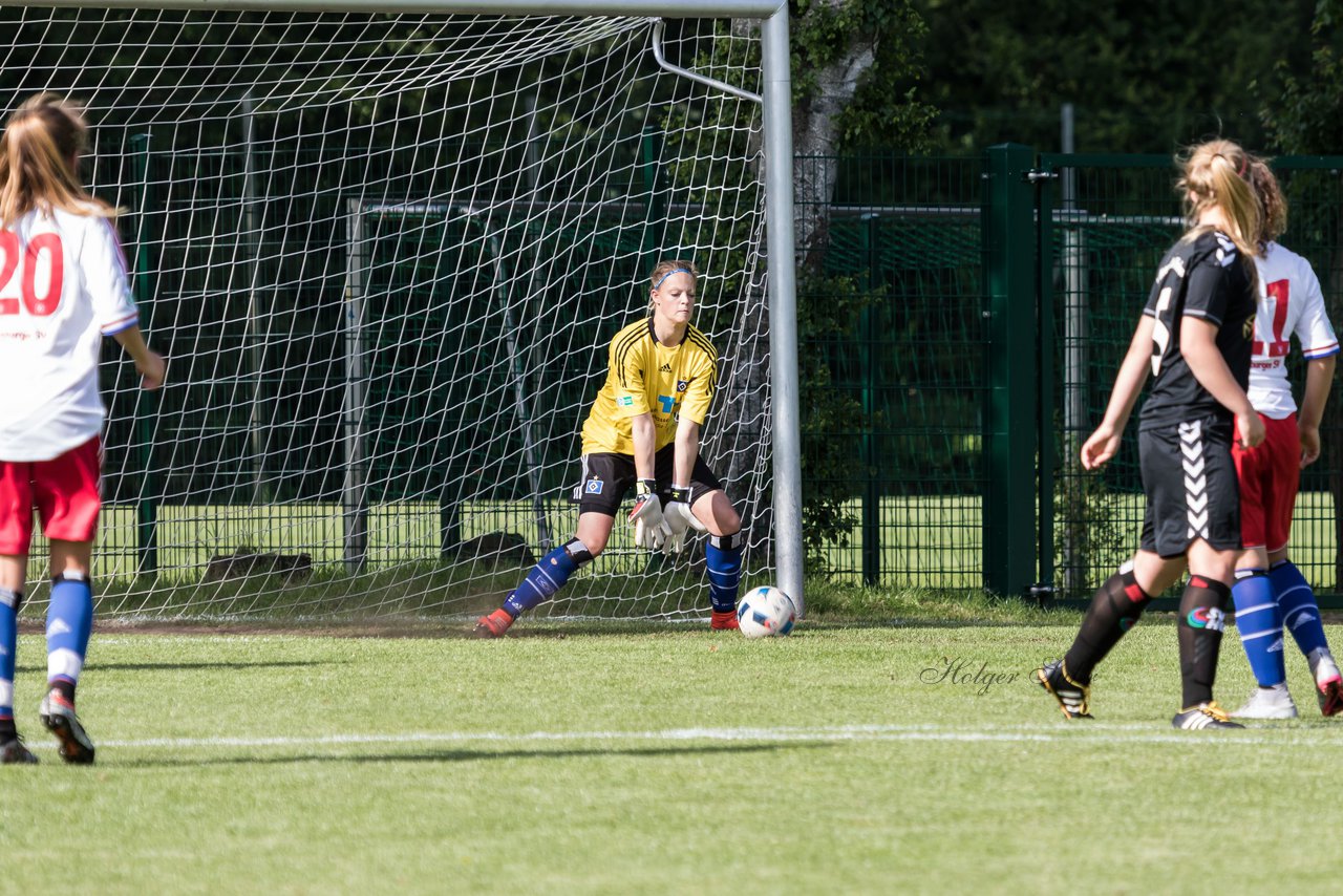 Bild 221 - wBJ Hamburger SV : SV Henstedt Ulzburg : Ergebnis: 4:2